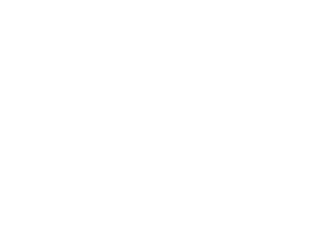 Komodo dragon size in comparison to a bed