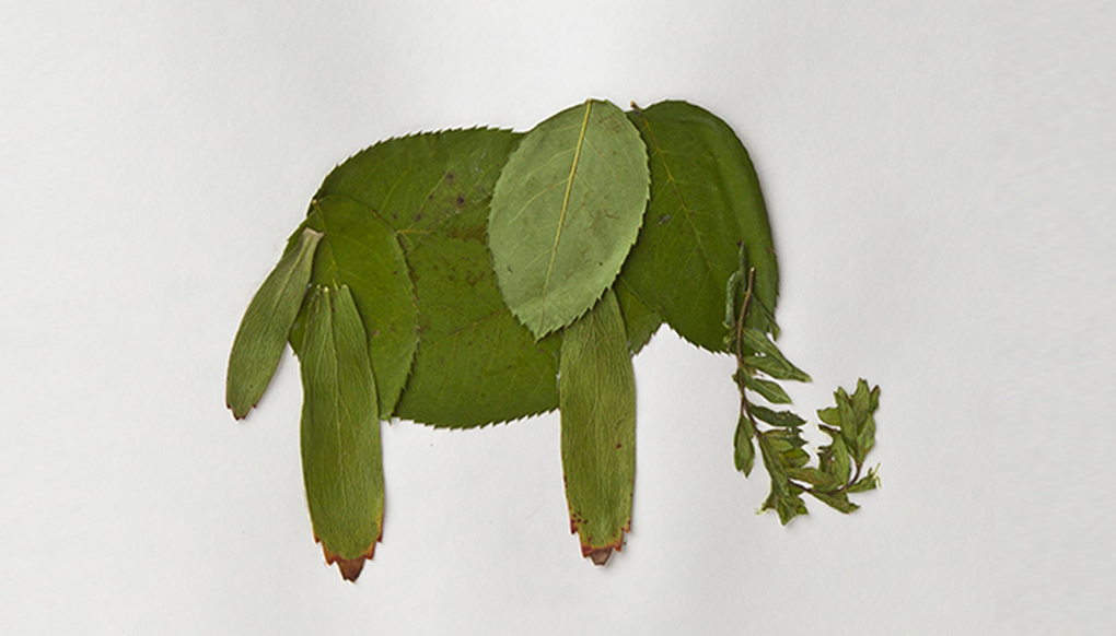 Leafy animal craft