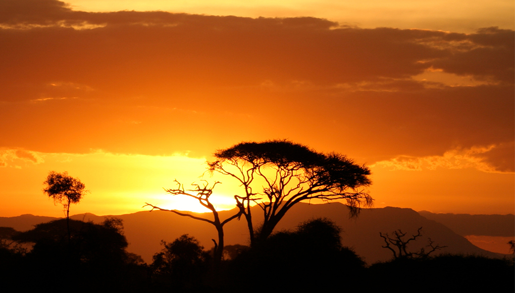 The sun sets behind the African savannah