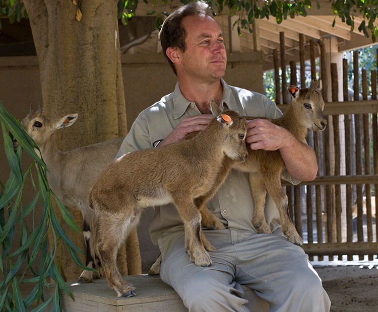 Wildlife care specialist with three baby hoof stock