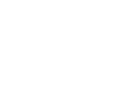 Leopard shark compared to a bed's size