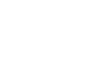 brown bear compared in size to a bed