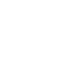 Polar bear compared to the size of a bed