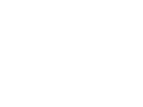 Southern white rhino compared to the size of a bed