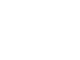 Tapir compared to a bed