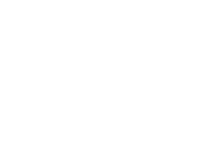 three-banded armadillo compared in size to a soccer ball