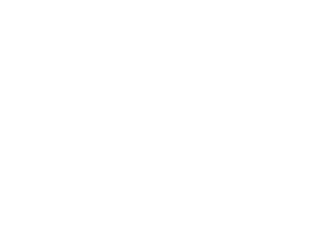 Burrowing owl compared in size to a soccer ball