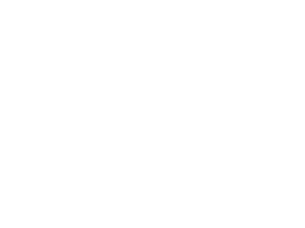 Gila monster next to a soccer ball