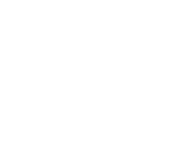 koala compared to the size of a soccer ball