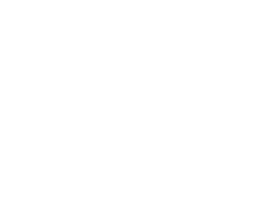 kookaburra compared in size to a soccer ball