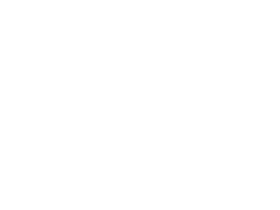 African penguin compared to an 8.65 in high soccer ball