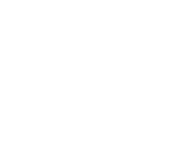 A blue-tongued skink's size compared to a soccer ball