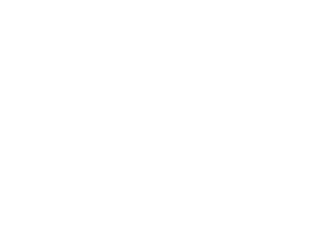 A warthog compared in size to a soccer ball