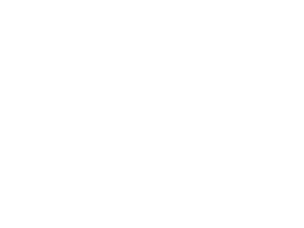 Reindeer compared in size to an average U.S. bed