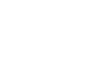 A cheetah standing next to a soccer ball