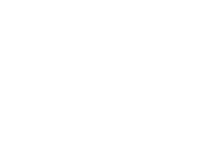 Meerkat next to a soccer ball