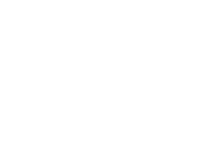 palm cockatoo next to a soccer ball