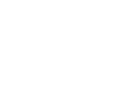 porcupine next to a soccer ball