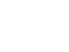 cockerel's sifaka next to a soccer ball