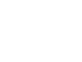 tree kangaroo compared to an average soccer ball