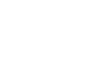 East African crowned crane standing next to a soccer ball.
