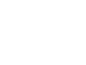 Dhole standing next to a soccer ball.