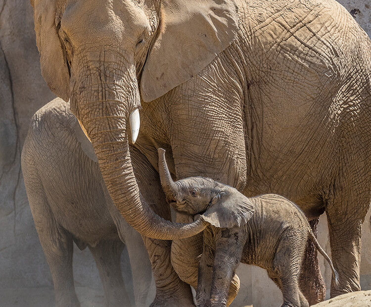 Zuli with his mom, Ndulamitsi.