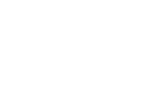 An arctic fox compared to an average soccer ball. An average soccer ball is 8.65 inches tall.
