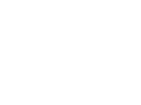 babirusa compared in size to a soccer ball.
