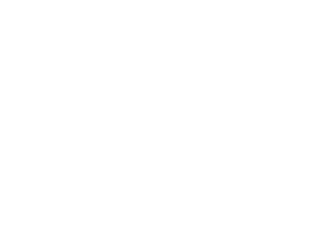 alligator next to a bed