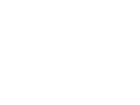 capybara next to an average soccer ball