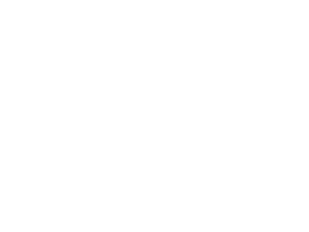 echidna next to a soccer ball.