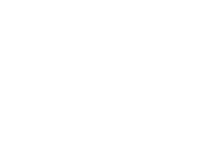 Gharial next to an average bed.