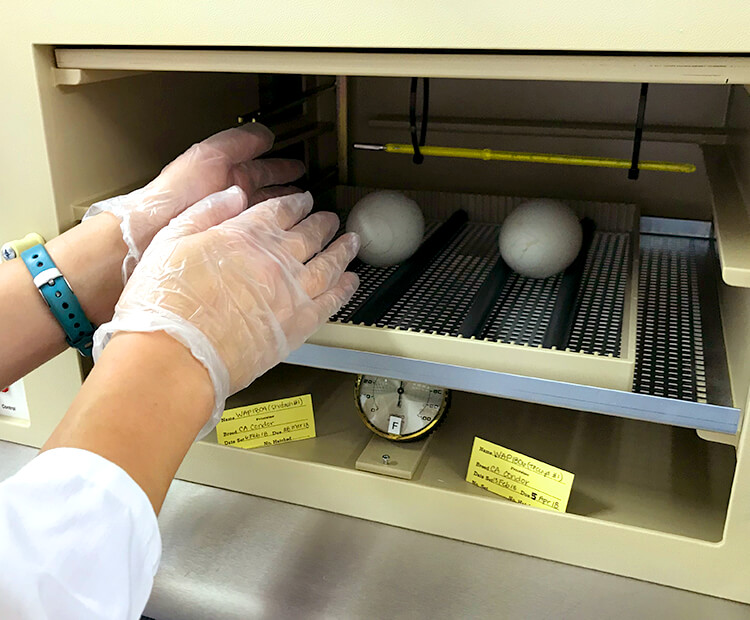California condor eggs placed into an egg incubator.