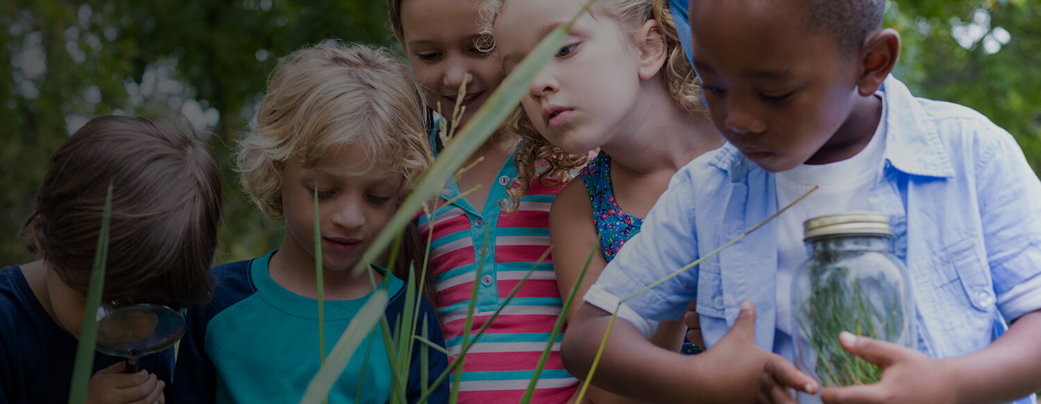 Young school children observing nature.