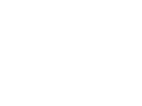 Bonobo next to a soccer ball