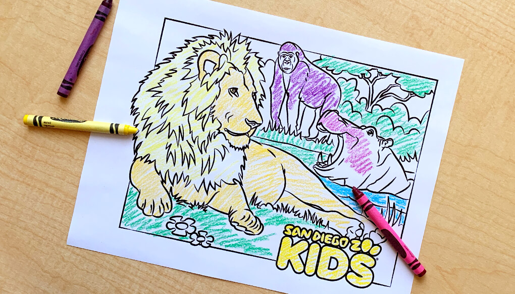 Lion, gorilla, and hippo coloring page.