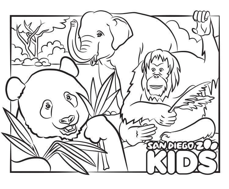 Uncolored panda, elephant, and orangutan.