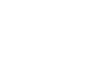 Southern cassowary next to a soccer ball.