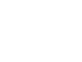 Arabian oryx next to a soccer ball
