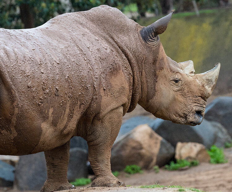 Maoto standing in front of boulders.