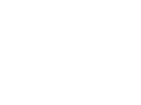 coati next to a soccer ball