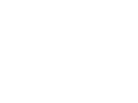 Swamp monkey next to a soccer ball.