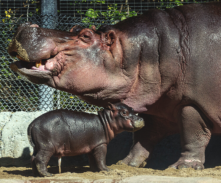 Amahle on the shore with Funani after her birth.