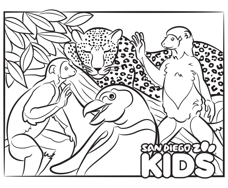 Sifaka lemurs, leopard, and African penguin coloring page.
