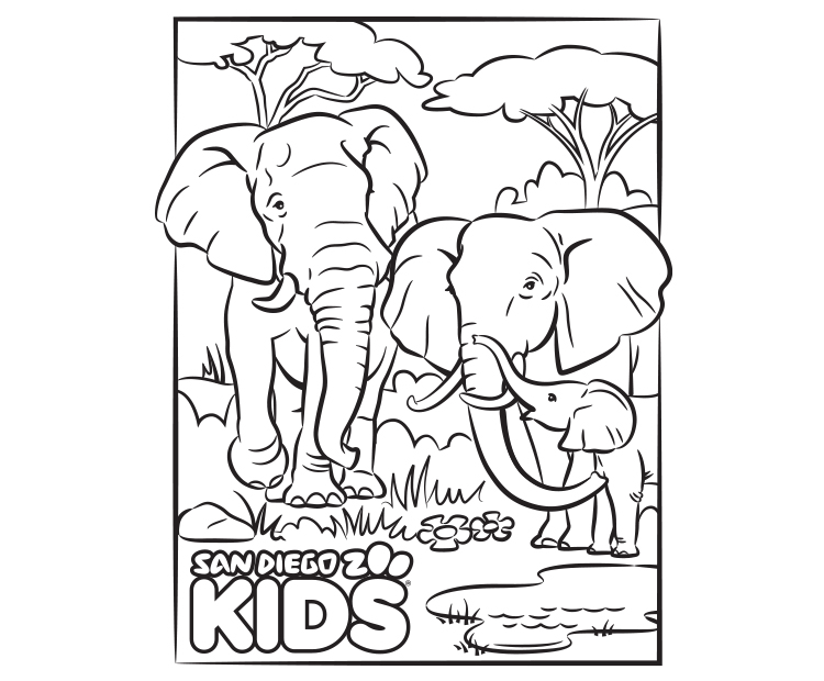 Black and white version of elephant coloring page.