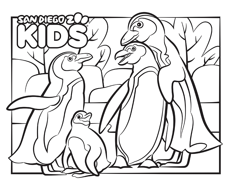 Penguin family coloring page