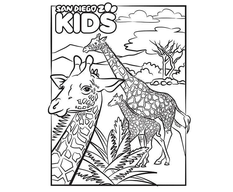 Giraffe coloring page.