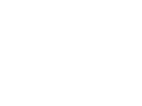 Virginia opossum next to a soccer ball.