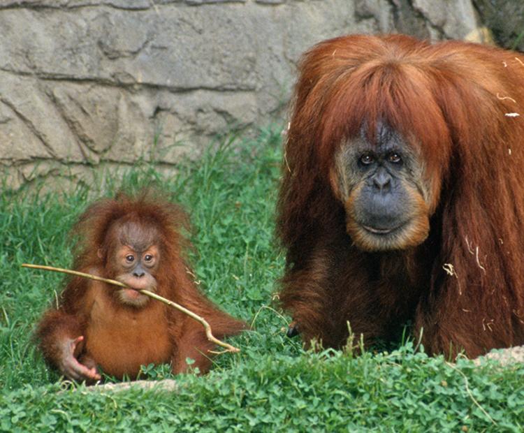 Karen with her baby.